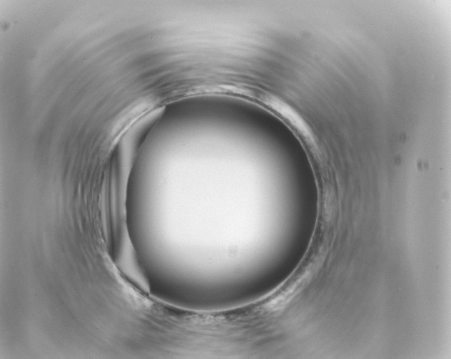 X0000088640809200706221544