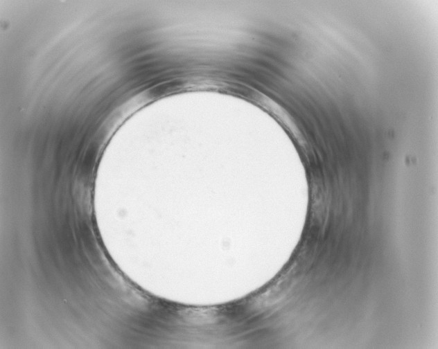 X0000088640810200706221544