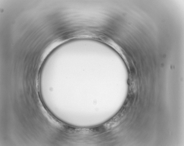 X0000088640811200706221544