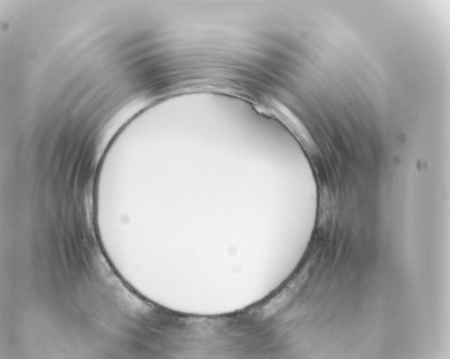 X0000088640812200706221544