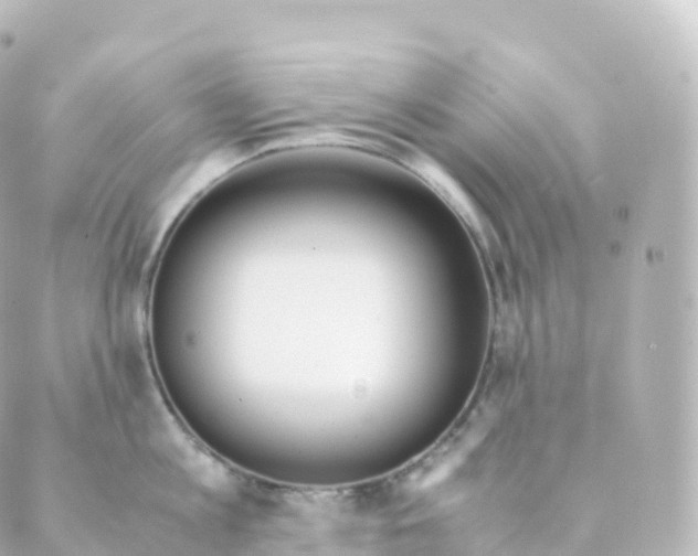 X0000088640813200706221544