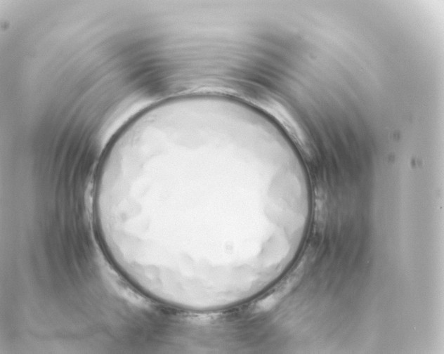 X0000088640814200706221544