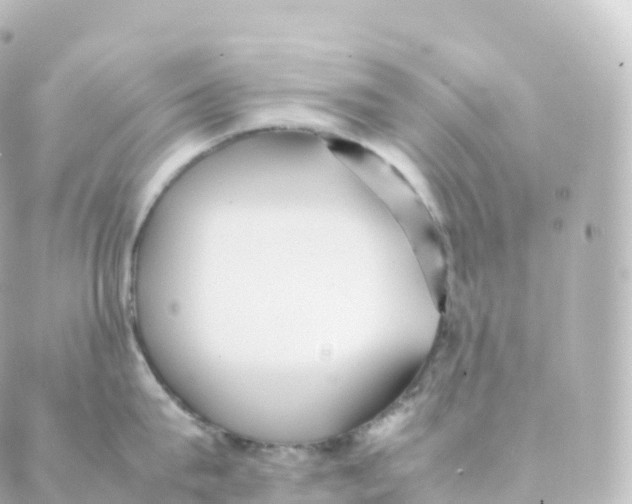 X0000088640815200706221544