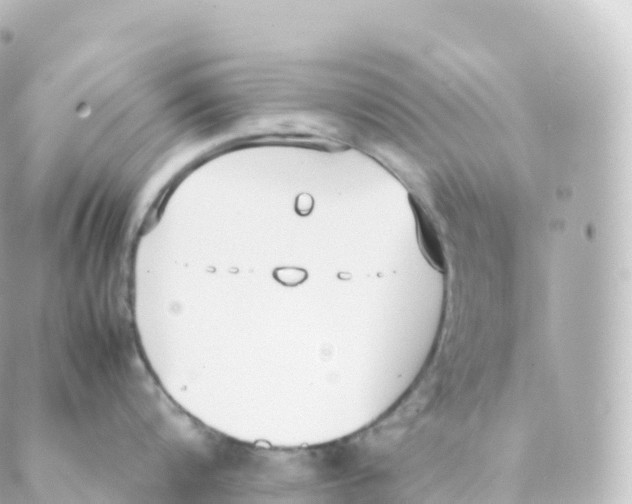 X0000088640816200706221544