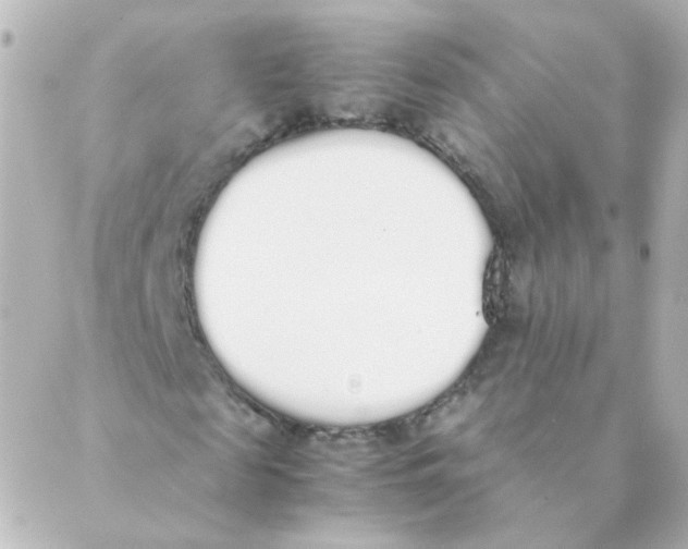 X0000088640817200706221543