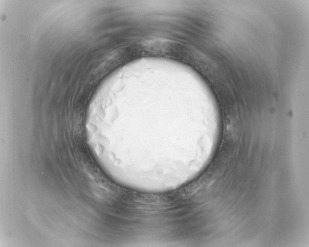 X0000088640819200706221543