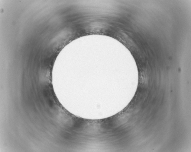 X0000088640820200706221543