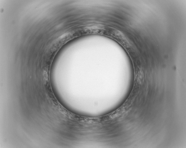 X0000088640821200706221543