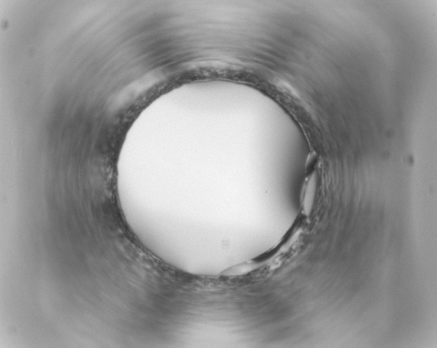 X0000088640822200706221543