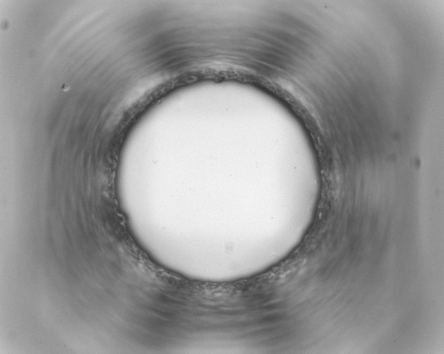 X0000088640823200706221543