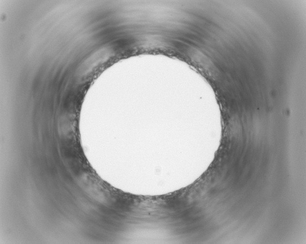 X0000088640824200706221543