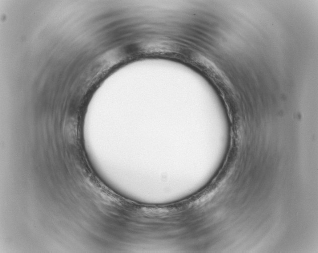 X0000088640825200706221543