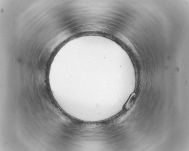 X0000088640826200706221543