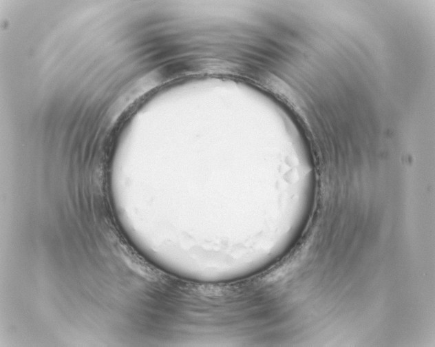 X0000088640827200706221543