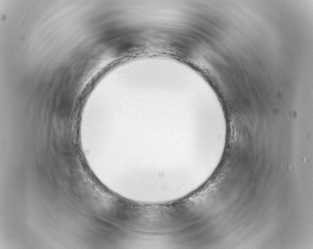 X0000088640828200706221543