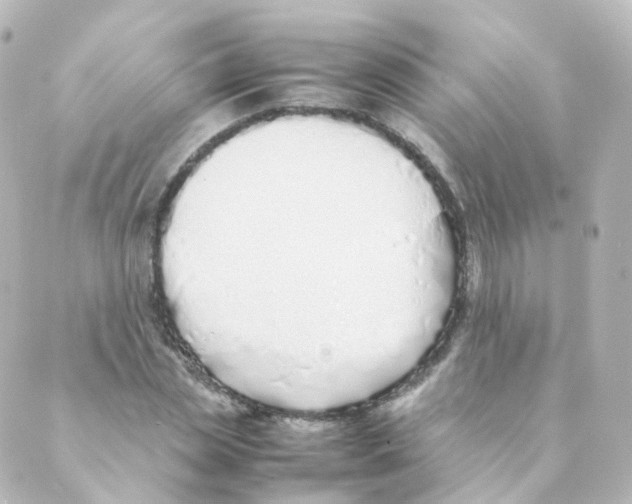 X0000088640829200706221543