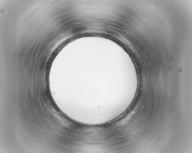 X0000088640830200706221543