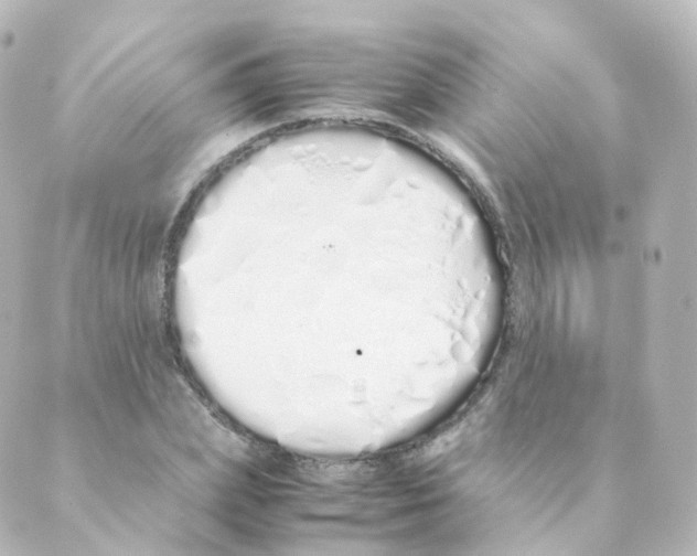 X0000088640831200706221543