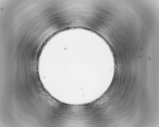 X0000088640832200706221543