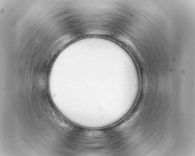 X0000088640833200706221543