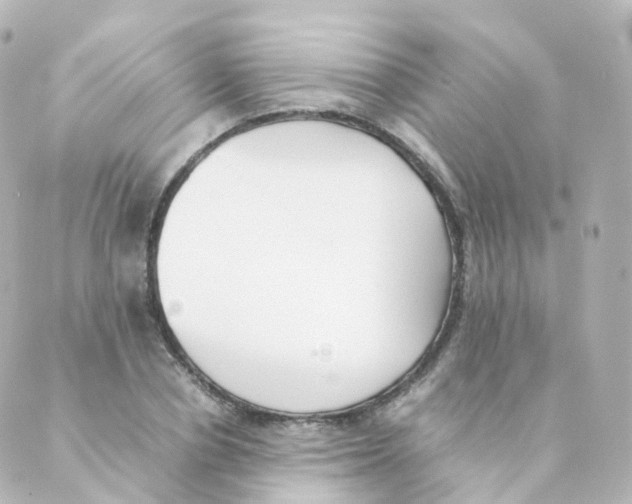 X0000088640834200706221543