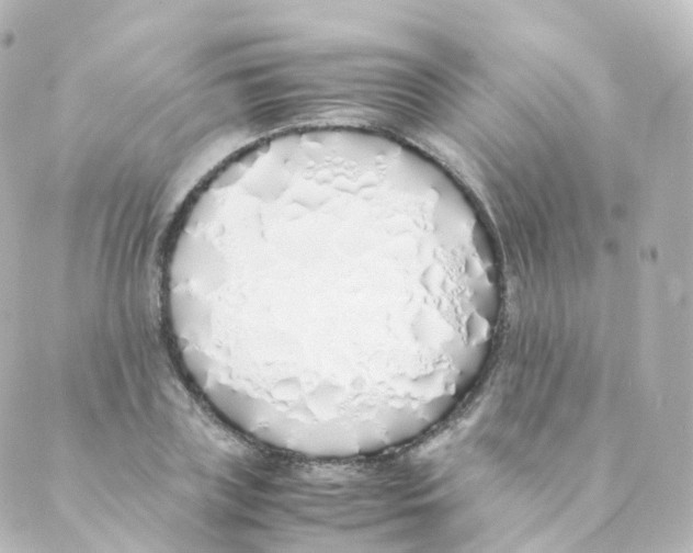 X0000088640835200706221543