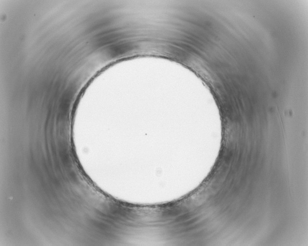 X0000088640836200706221543