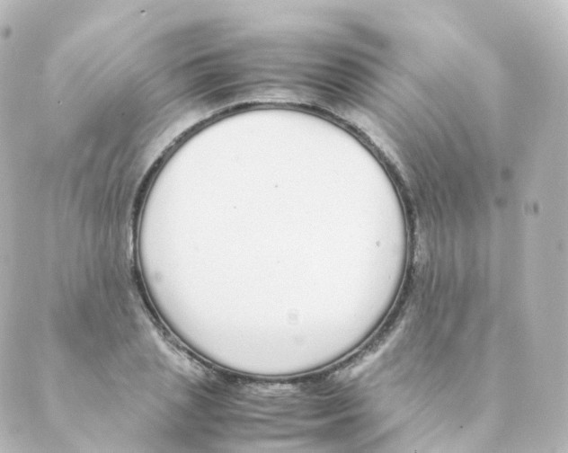 X0000088640837200706221543