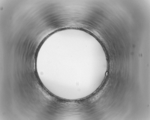 X0000088640838200706221543