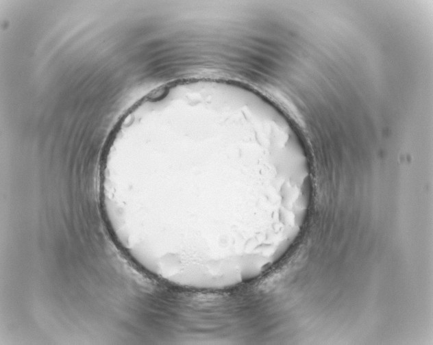 X0000088640839200706221544