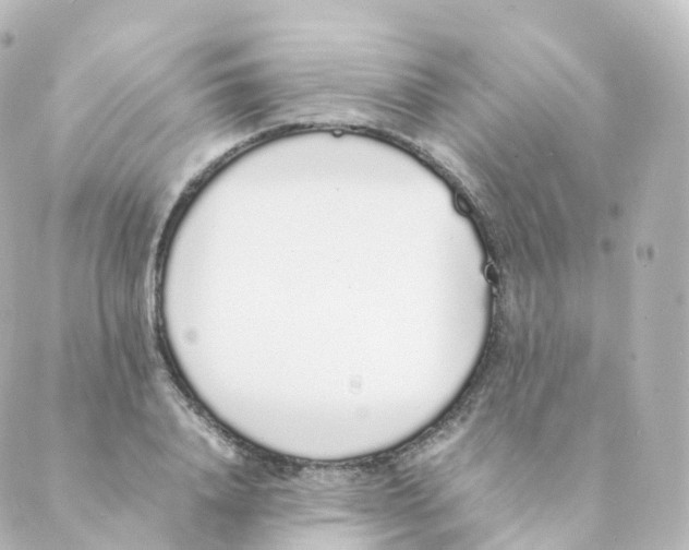 X0000088640840200706221544