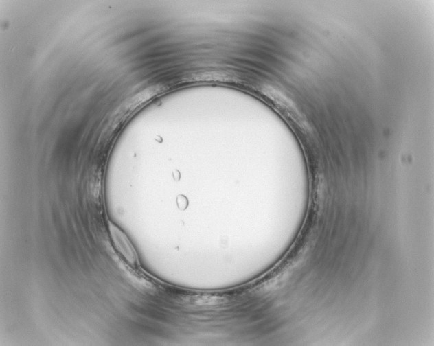 X0000088640841200706221544