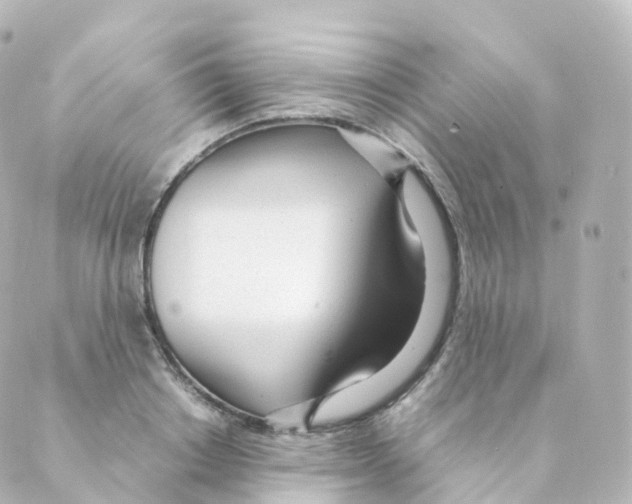 X0000088640842200706221544