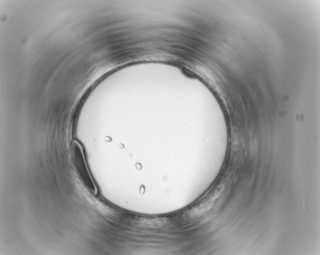 X0000088640843200706221544