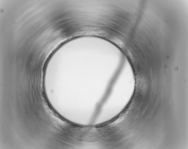 X0000088640844200706221544