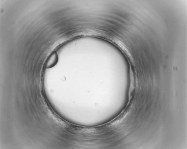 X0000088640845200706221544