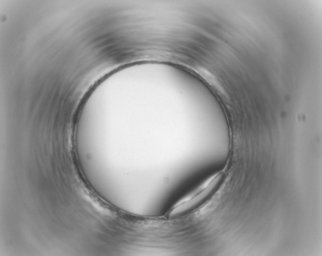 X0000088640846200706221544