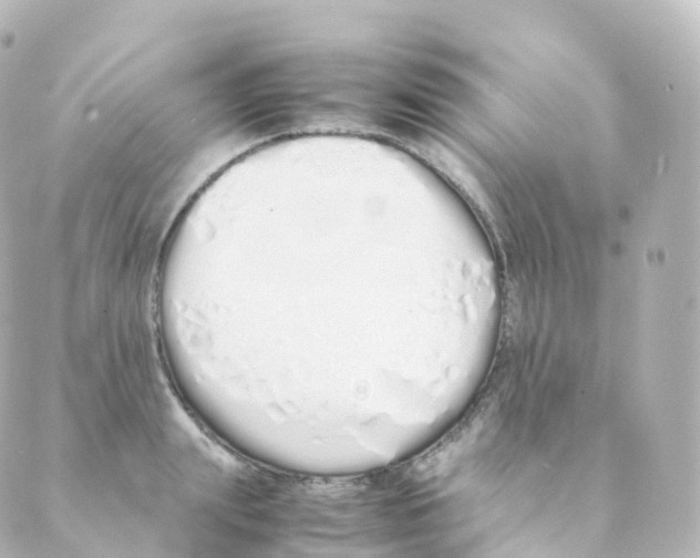 X0000088640847200706221544