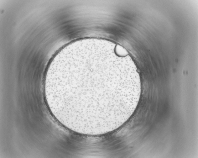 X0000088640848200706221544