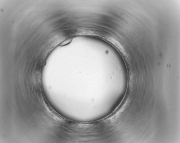 X0000088640849200706221544