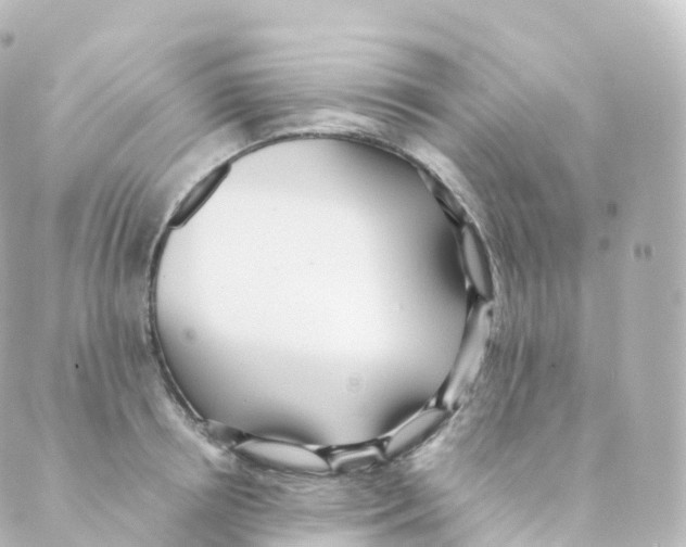 X0000088640850200706221544