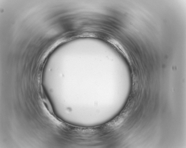 X0000088640851200706221544