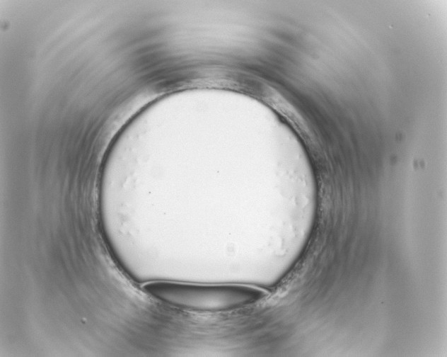 X0000088640852200706221544