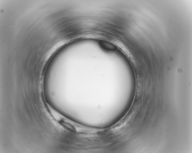 X0000088640853200706221544