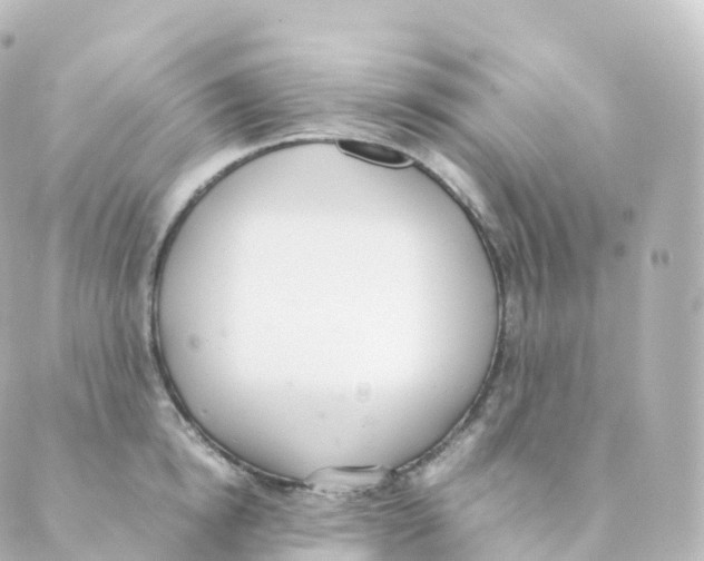 X0000088640854200706221544