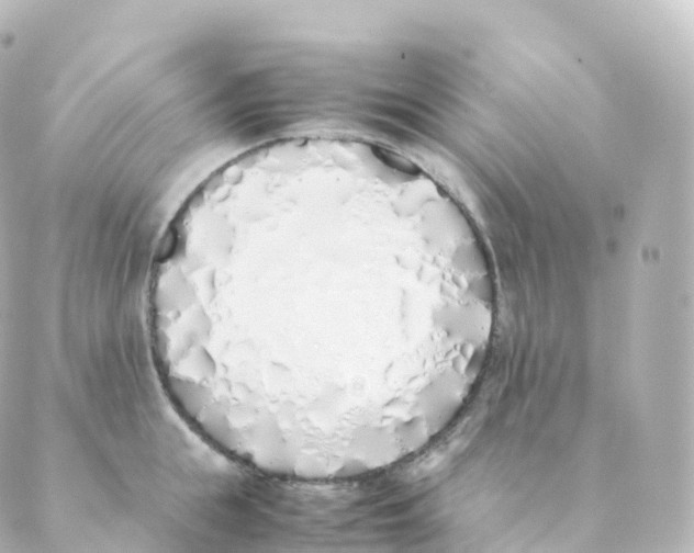 X0000088640855200706221544