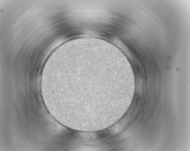 X0000088640856200706221544