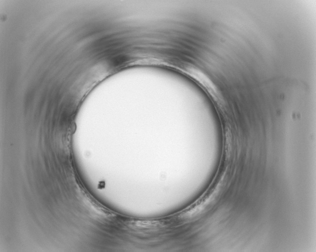 X0000088640857200706221544