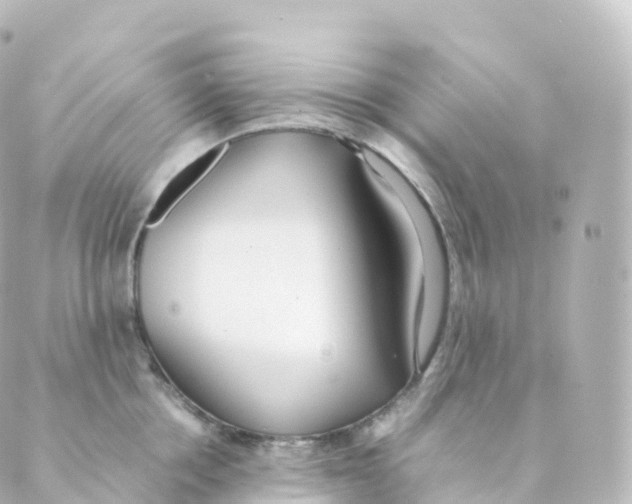 X0000088640858200706221544