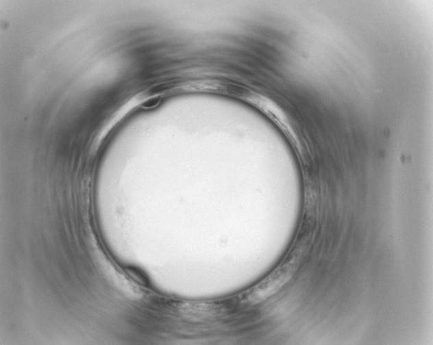 X0000088640859200706221544